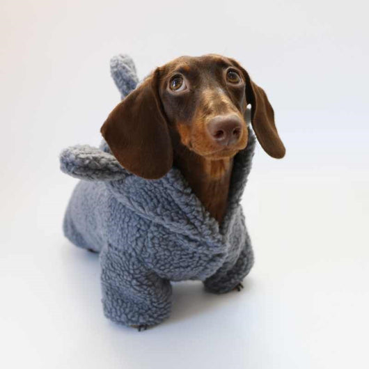 Abrigo Térmico para Mascotas con Forro de Polar - Diseño Tiburón - Image 12