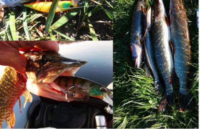 Señuelo de Pesca Realista de Plástico ABS Térmico - Image 24