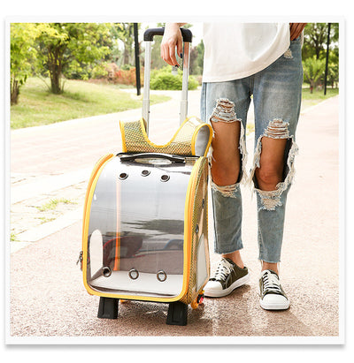 Mochila Transportadora Transparente Plegable para Perros Pequeños con Bolsillo Pañales - Image 33