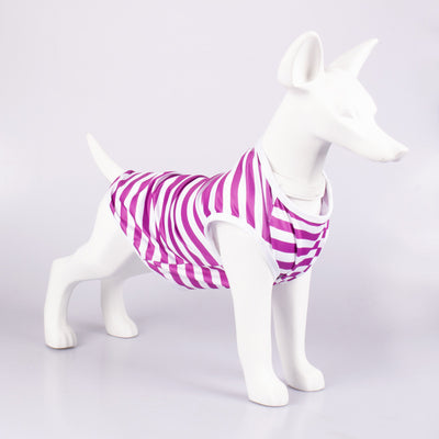 Chaleco Rayado Transpirable para Perros - Ropa Cómoda y Fresca - Image 8