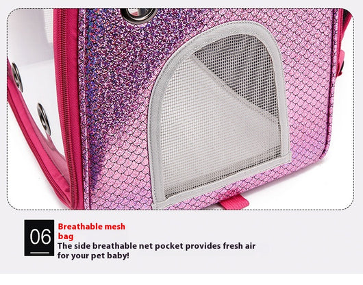 Mochila Transportadora Transparente Plegable para Perros Pequeños con Bolsillo Pañales - Image 35