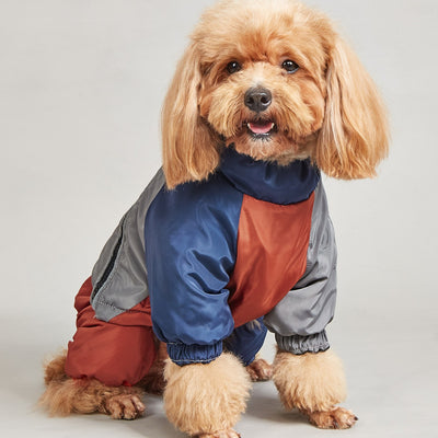 Abrigo Acolchado para Perros Medianos y Grandes - Diseño a Juego de Colores para Invierno - Image 2