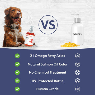 Aceite Premium de Salmón para Perros - Image 10