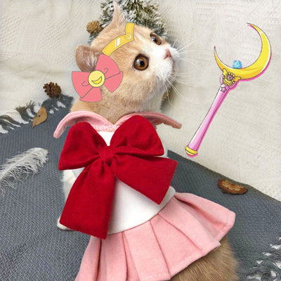 Ropa de Gato Viral para Primavera y Verano - Image 7