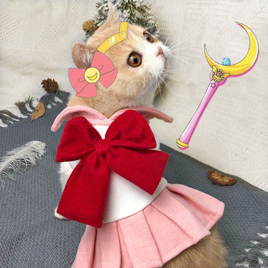 Ropa de Gato Viral para Primavera y Verano - Image 7