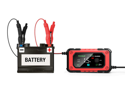 Cargador Inteligente 12V para Baterías de Plomo y Litio con Pantalla Grande a Color - Image 10