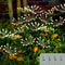 Cadena de Luces Solares de Cobre para Jardín - Decoración LED Festiva