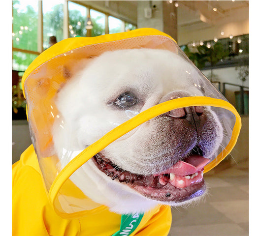Impermeable para Perros Pequeños y Medianos - Protección Total de 4 Pies - Image 10
