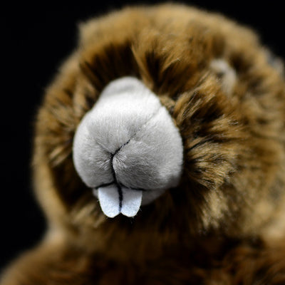 Peluche de Marmota Adorable - Modelo de Animal Realista - Image 5