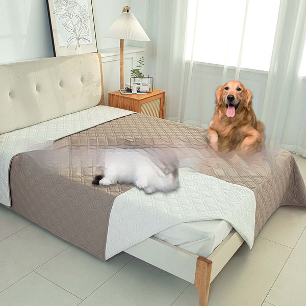 Cojín Reversible Impermeable para Mascotas con Diseño Bicolor