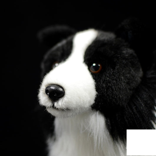 Peluche Border Collie Realista - Muñeco Suave y Adorable - Image 3