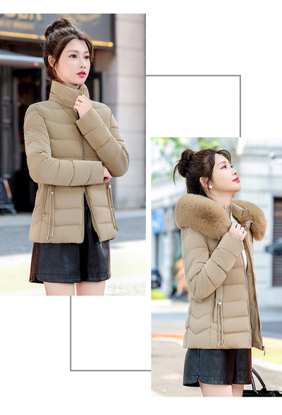 Chaqueta Acolchada de Algodón con Gorro Desmontable - Image 12