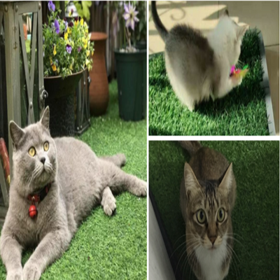Tapete Absorbente para Mascotas con Base Antideslizante - Image 2