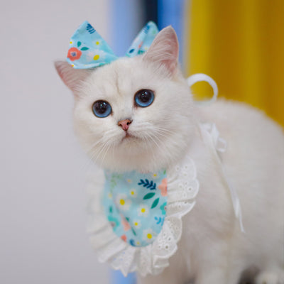 Babero Pañoleta Encaje Gato Estilo Princesa con Decoración - Image 26