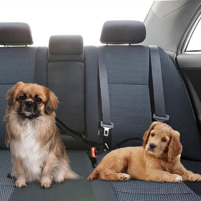 Arnés Doble para Mascotas en Auto - Correa de Seguridad para Dos Perros