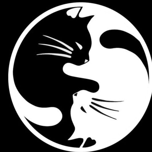 Adhesivo Reflectante de Gato Cartoon para Auto - Image 8