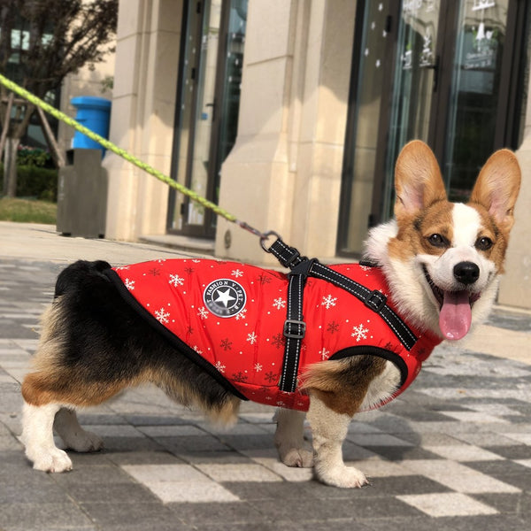 Abrigo Impermeable para Perros con Cinta Reflectante - Ropa Térmica Invierno