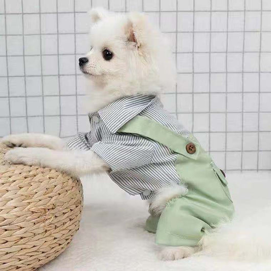 Ropa Ligera para Mascotas - Abrigo Primavera y Otoño para Perros y Gatos - Image 2