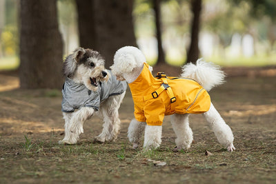 Impermeable para Perros Pequeños y Medianos con Arnés Integrado - Image 10