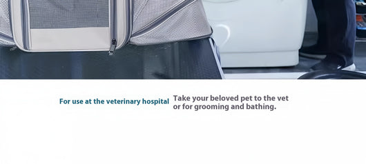 Mochila Transportadora para Mascotas Respirable de Gran Capacidad - Image 19