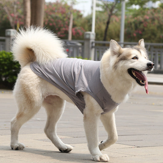 Chaleco y Camiseta para Perro XS-5XL | Ropa Fresca para Perros Pequeños - Image 14