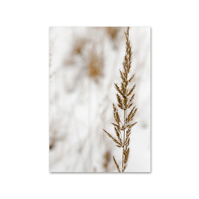 Cuadro Decorativo Boho Mujer Nórdico con Caña y Hierba - Image 12
