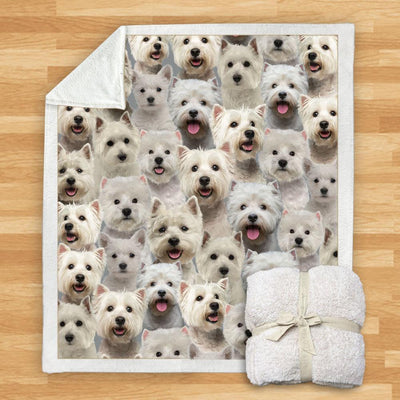 Manta de Franela Estampada para Perros de Diseño Moderno - Image 83