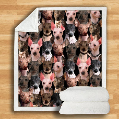 Manta Franela Estampada para Perros - Image 7