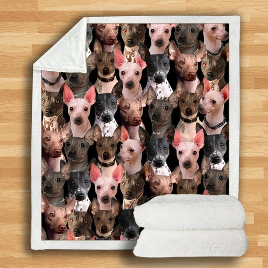 Manta Franela Estampada para Perros - Image 7