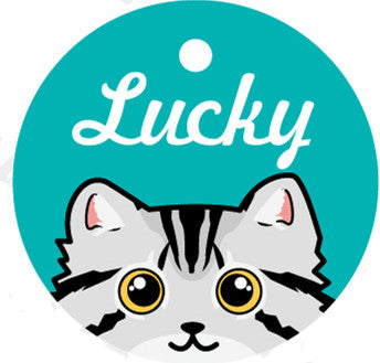 Placa de Identidad Personalizada para Mascotas - Image 21