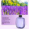 Lavanda