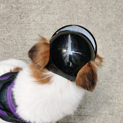 Casco Decorativo para Mascotas - Diseño Moto - Image 16
