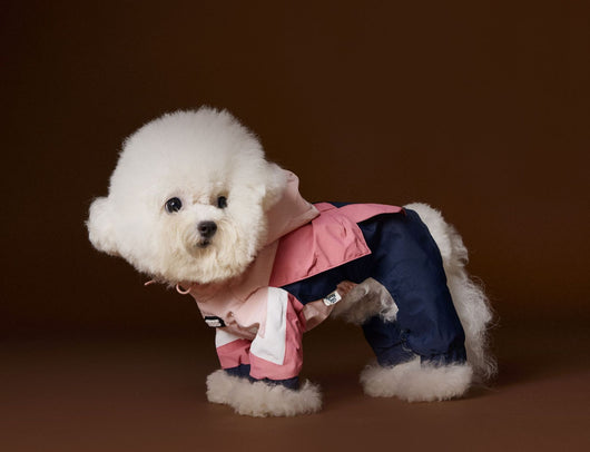Ropa Deportiva para Perros Bichon Schnauzer con Arnés de Seguridad VIP - Image 9