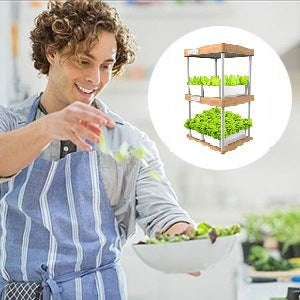 Acelerador de Crecimiento Natural para Plantas de Bambú - Image 7
