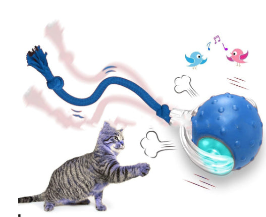 Red interactive cat toy ball with clear shell and glowing blue light, attached to a red rope, next to a playful tabby kitten. - Image 7