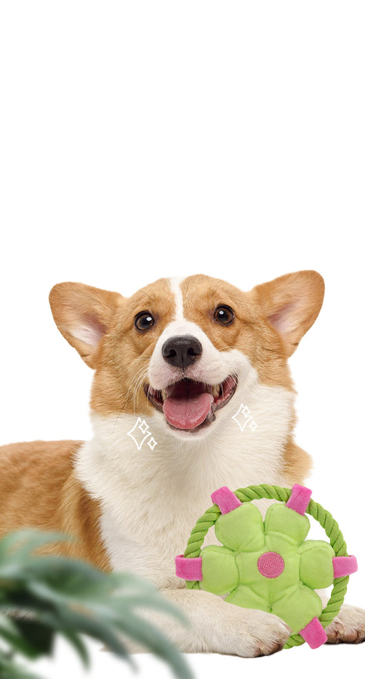 Juguetes Mordedores Interactivos para Perros con Sonido Chillón - Image 15