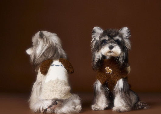 Chaleco Tejido para Perros Schnauzer y Bichón - Diseño 3D con Orejas - Image 23