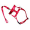 Red S