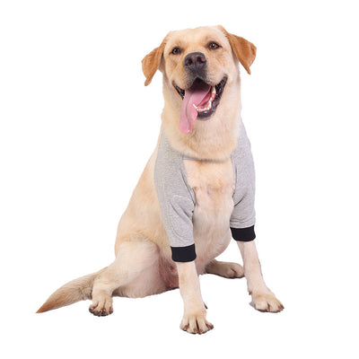 Protectores de Articulaciones para Mascotas - Protección Térmica y de Frío - Image 2