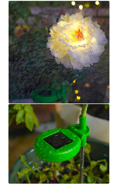 Linterna Solar Decorativa Peonía Resistente al Agua para Jardín - Image 9