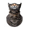 Civet Gato Average Size