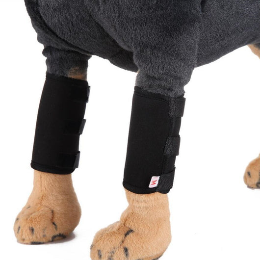 Protector de Pata para Perros - Soporte Ortopédico Ajustable - Image 9