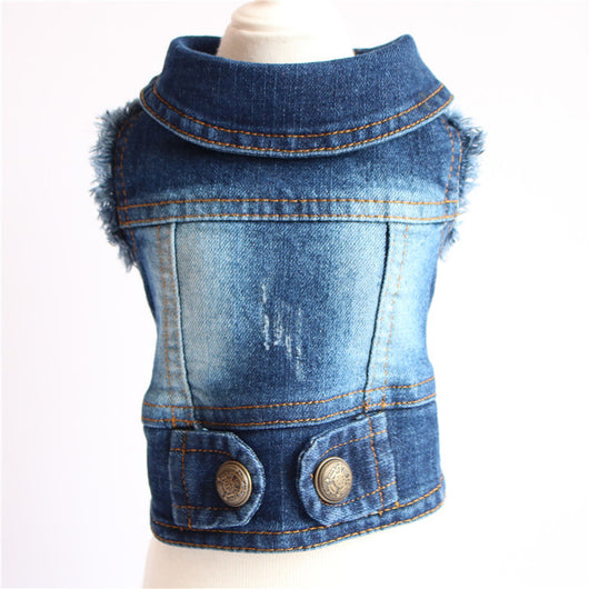 Chaleco Denim para Perros Pequeños - Abrigo de Moda Primavera para Mascotas - Image 3