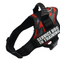Red And Black L