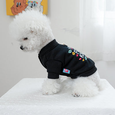 Ropa Cálida para Mascotas - Colección Otoño Invierno - Image 16