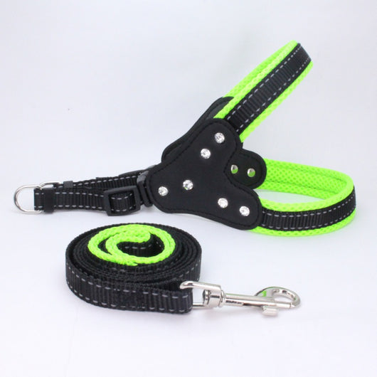 Arnés Triangular de Pecho para Perros - Image 5