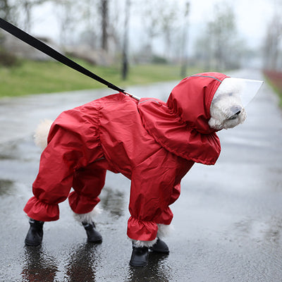 Impermeable para Perros Teddy de Cuatro Patas Completo - Image 3