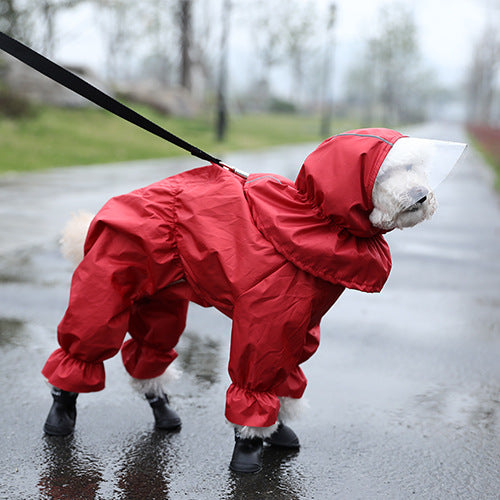 Impermeable para Perros Teddy de Cuatro Patas Completo - Image 3