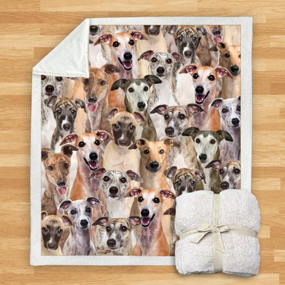 Manta de Franela Estampada para Perros de Diseño Moderno - Image 35