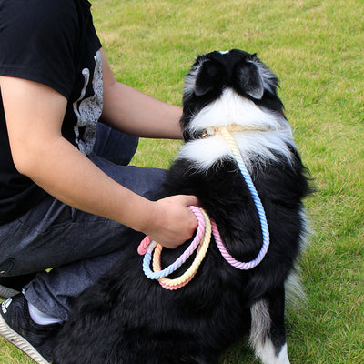 Cuerda de Tracción Arcoíris para Perros Resistente e Implosión Ajustable - Image 3